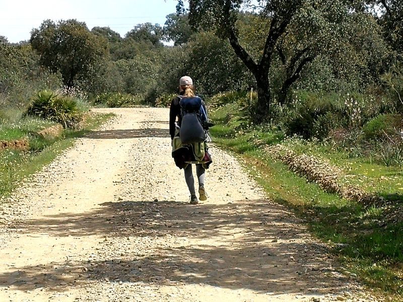 Vse kar je potrebno vedeti o Caminu