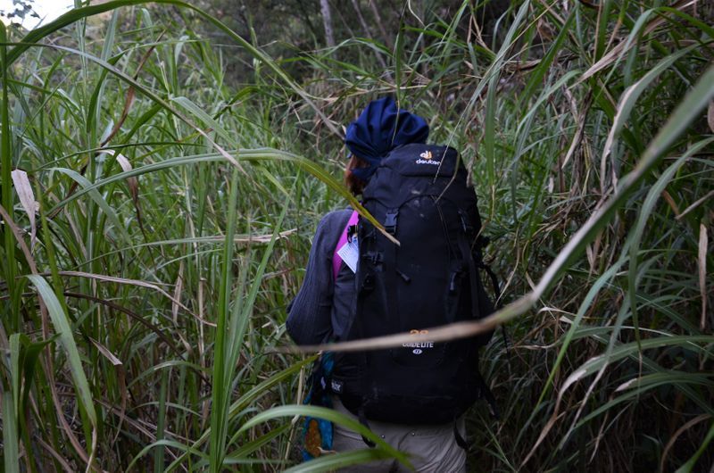 Peru - Treking na Machu Picchu, folklorna prestolnica Puno in jezero Titicaca (2.del)