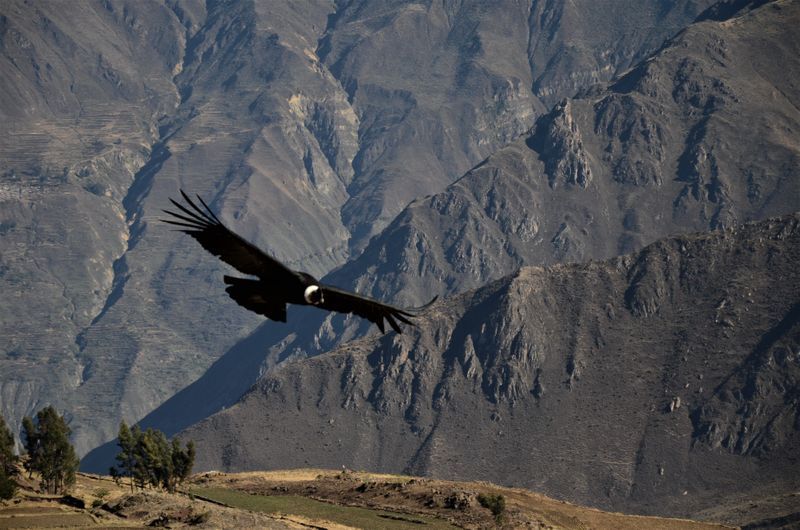 Skrivnostni Peru - Od prestolnice Lime do inkovskega Cuzca (1.del)