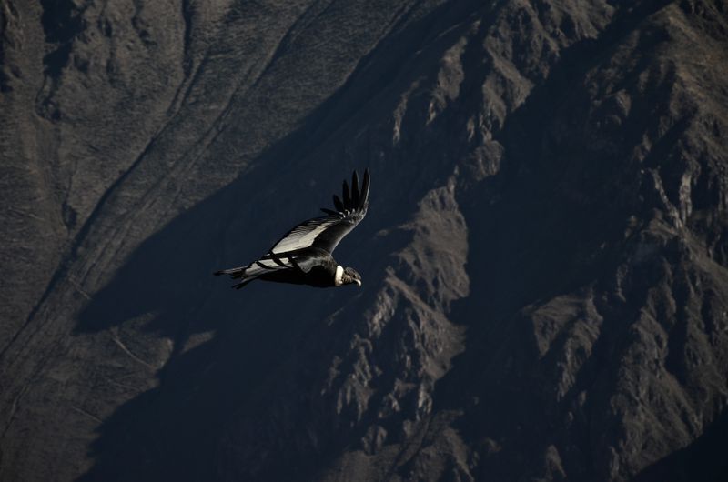 Skrivnostni Peru - Od prestolnice Lime do inkovskega Cuzca (1.del)