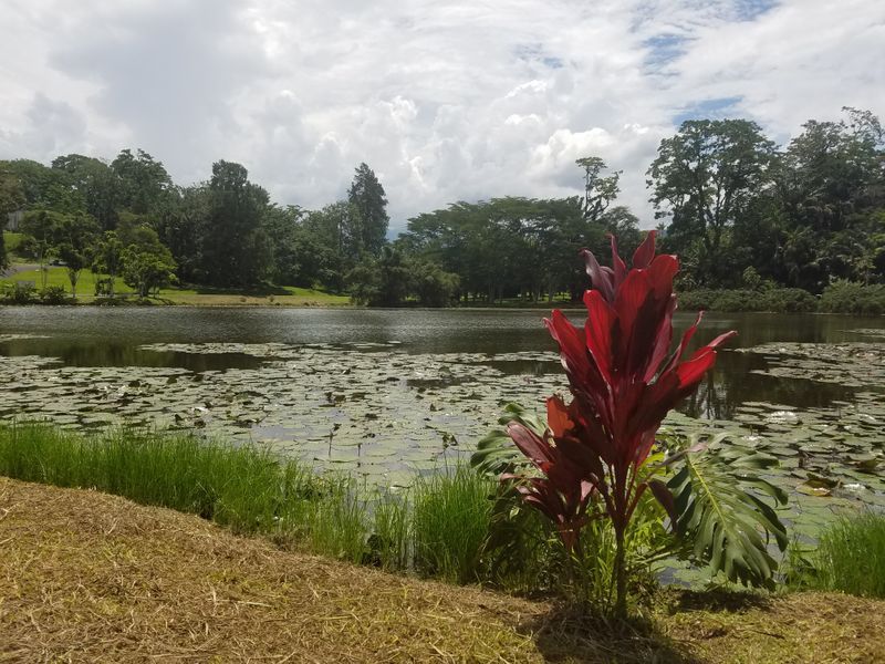 Kostarika 1.del - Turrialba z okolico in izlet v Puerto Viejo