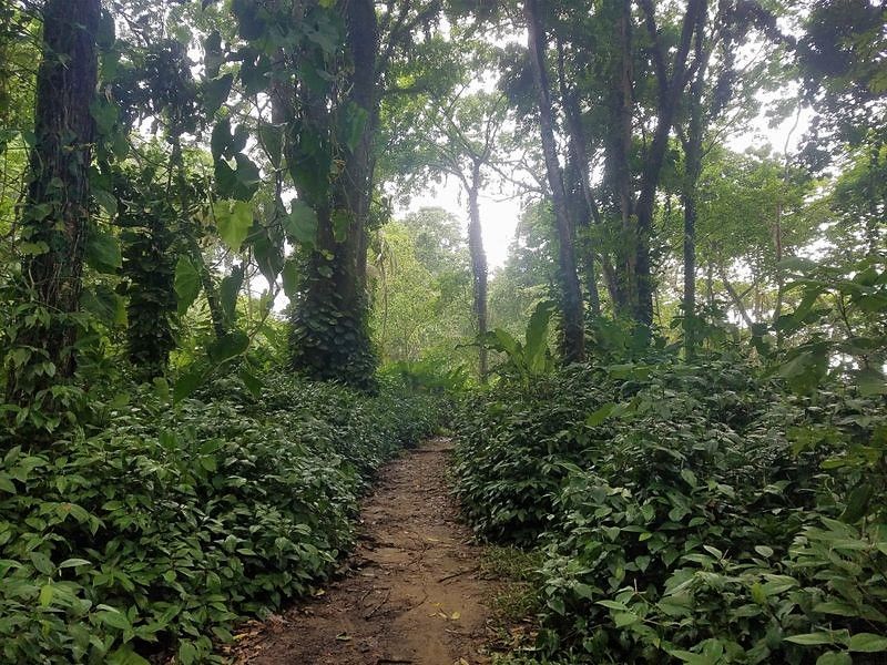 Kostarika 1.del - Turrialba z okolico in izlet v Puerto Viejo