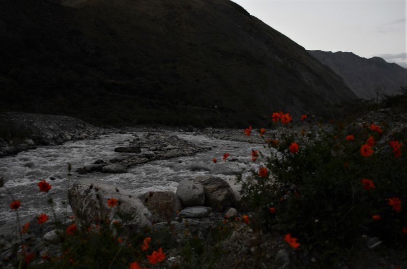 Peru - Treking na Machu Picchu, folklorna prestolnica Puno in jezero Titicaca (2.del)